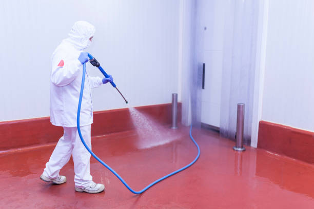 Best Dumpster Area Cleaning  in Mayville, WI